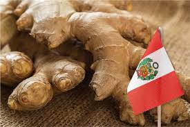 Jengibre- Kión peruano orgánico